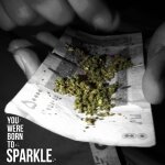 Persian Pure Kush