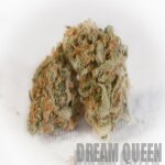 Dream Queen