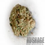 Kushage