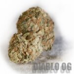 Diablo OG