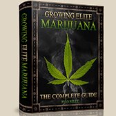 Growing Elite Marijuana