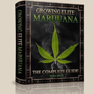 Growing Elite Marijuana