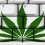 So Far Weed Wins Over Gambling in the U.S.