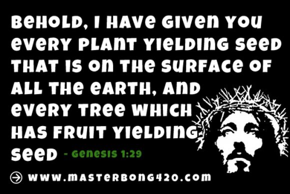 Marijuana Quotes Gallery