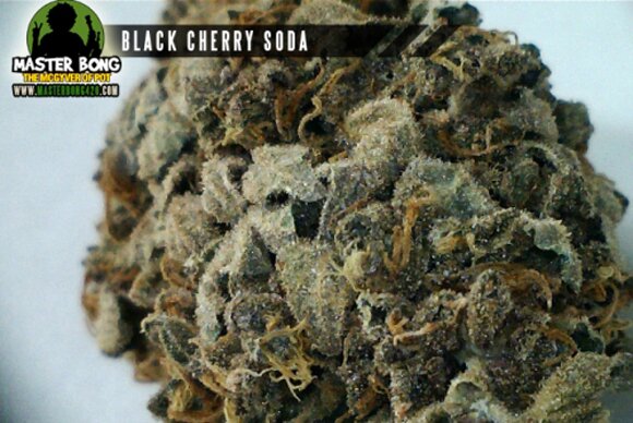 Marijuana Strains Gallery