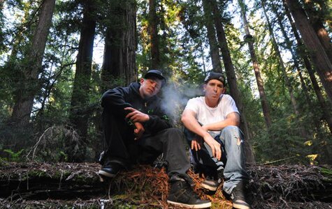 Mendo Dope