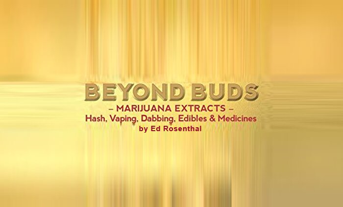 Beyond Buds