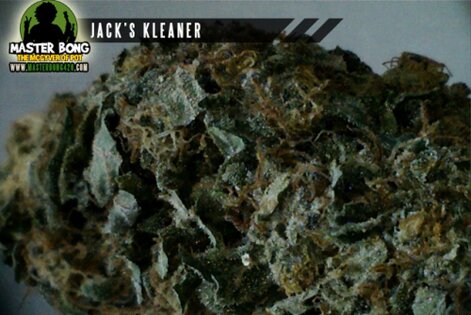 Jack's Cleaner